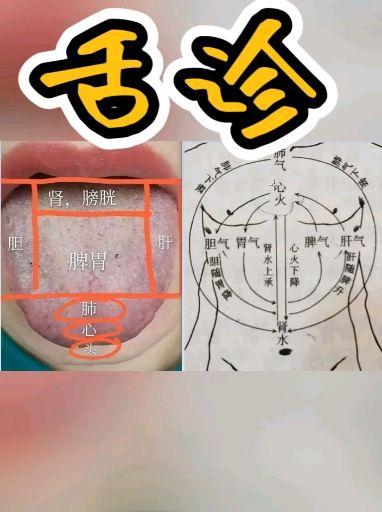 地图舌裂纹舌聆听世音 · 806 次播放 2:30胃炎,失眠舌诊分析聆听世音