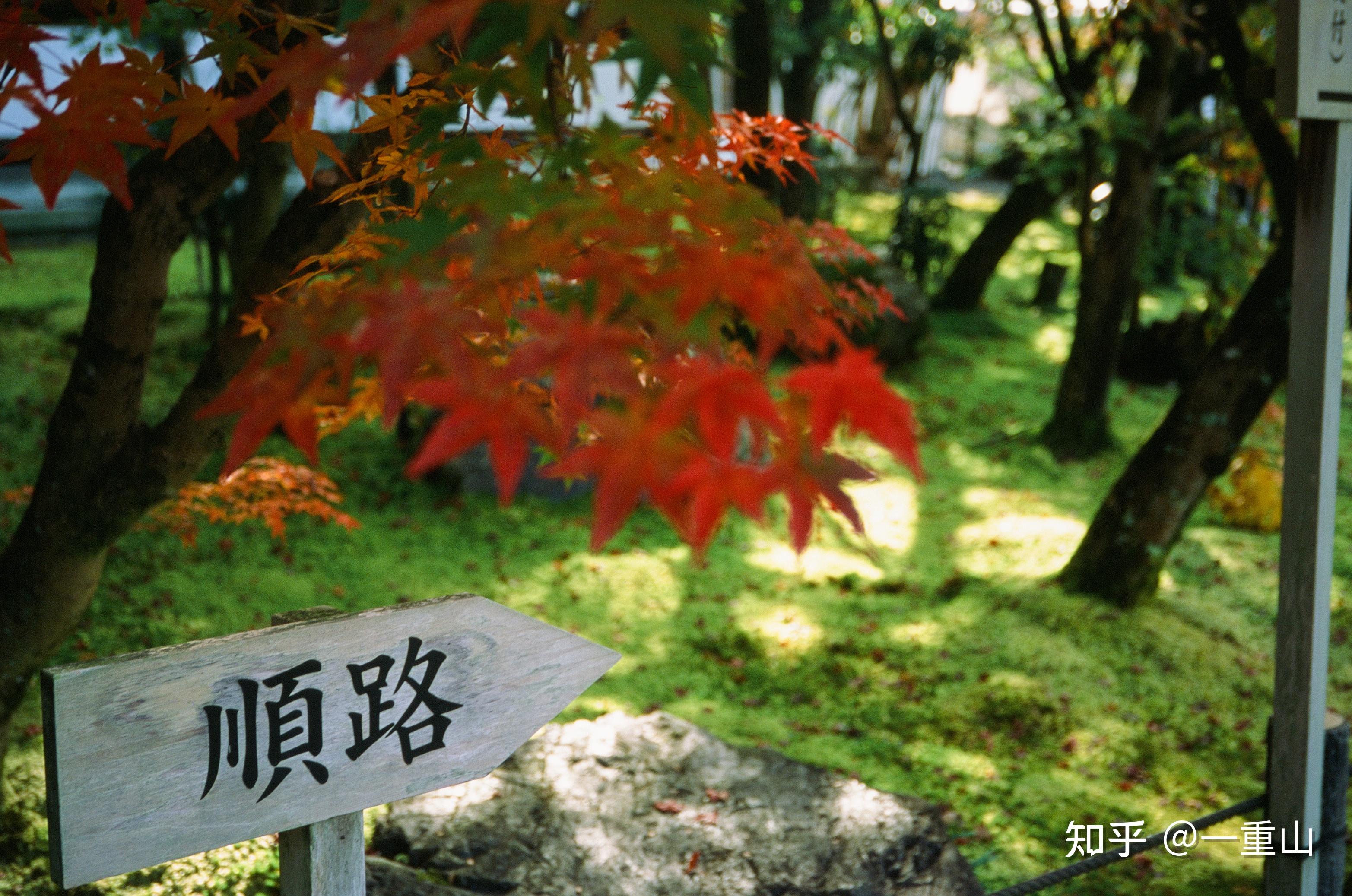富士rdp3和富士Provia胶片模拟差距有多大? - 知乎