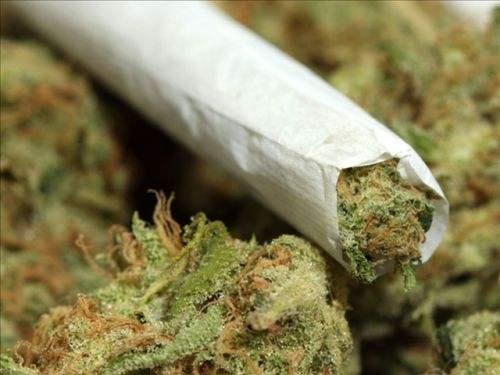 吸食大麻的感受 知乎