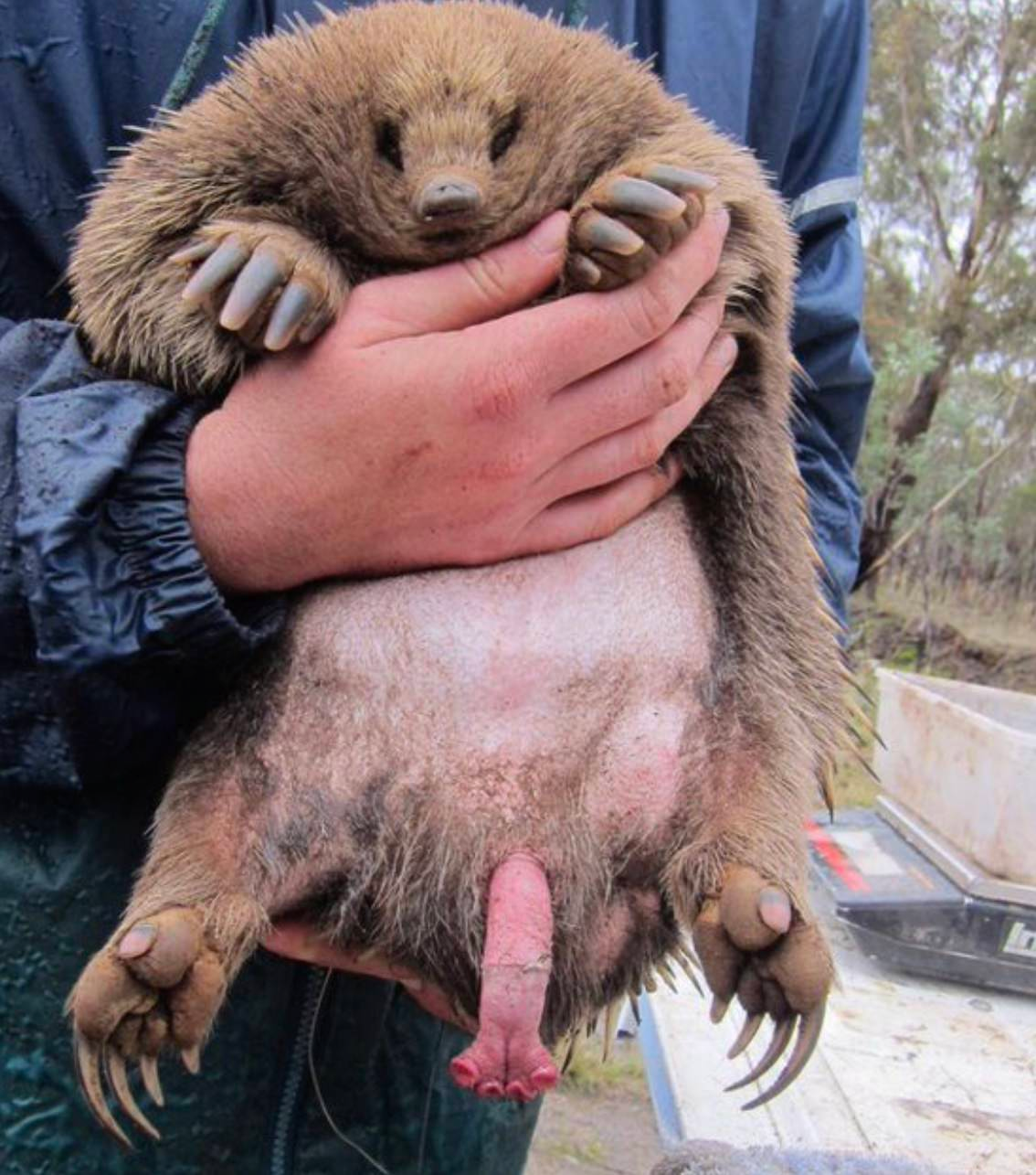 俗话说,"工欲善其事,必先利其器".下面就说说比较奇葩的……丁丁.