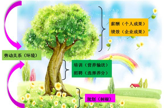 培训学校人力资源_人力资源培训机构_培训人力机构资源管理办法