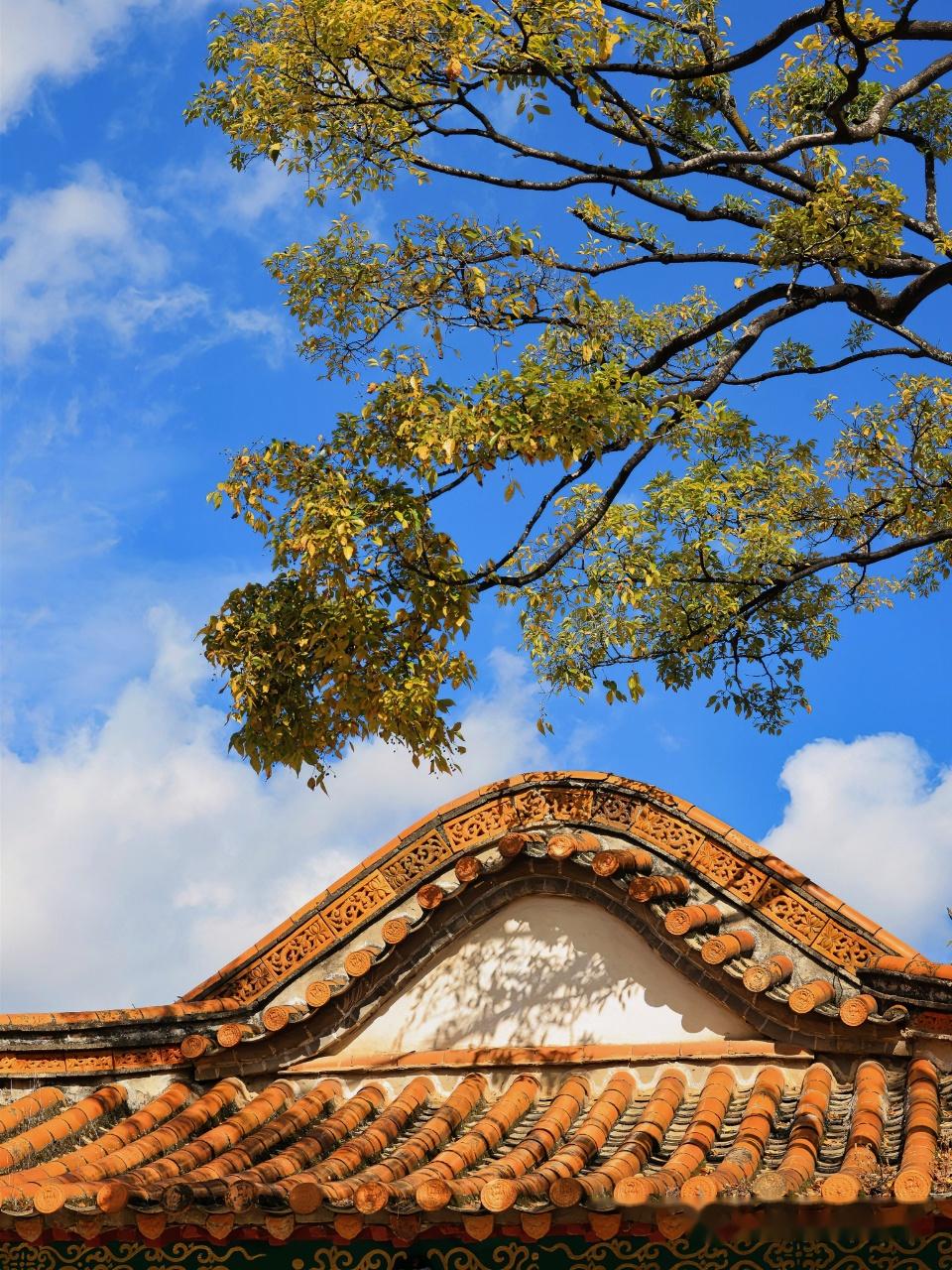 昆明翠湖公园的哪些景点值得推荐?