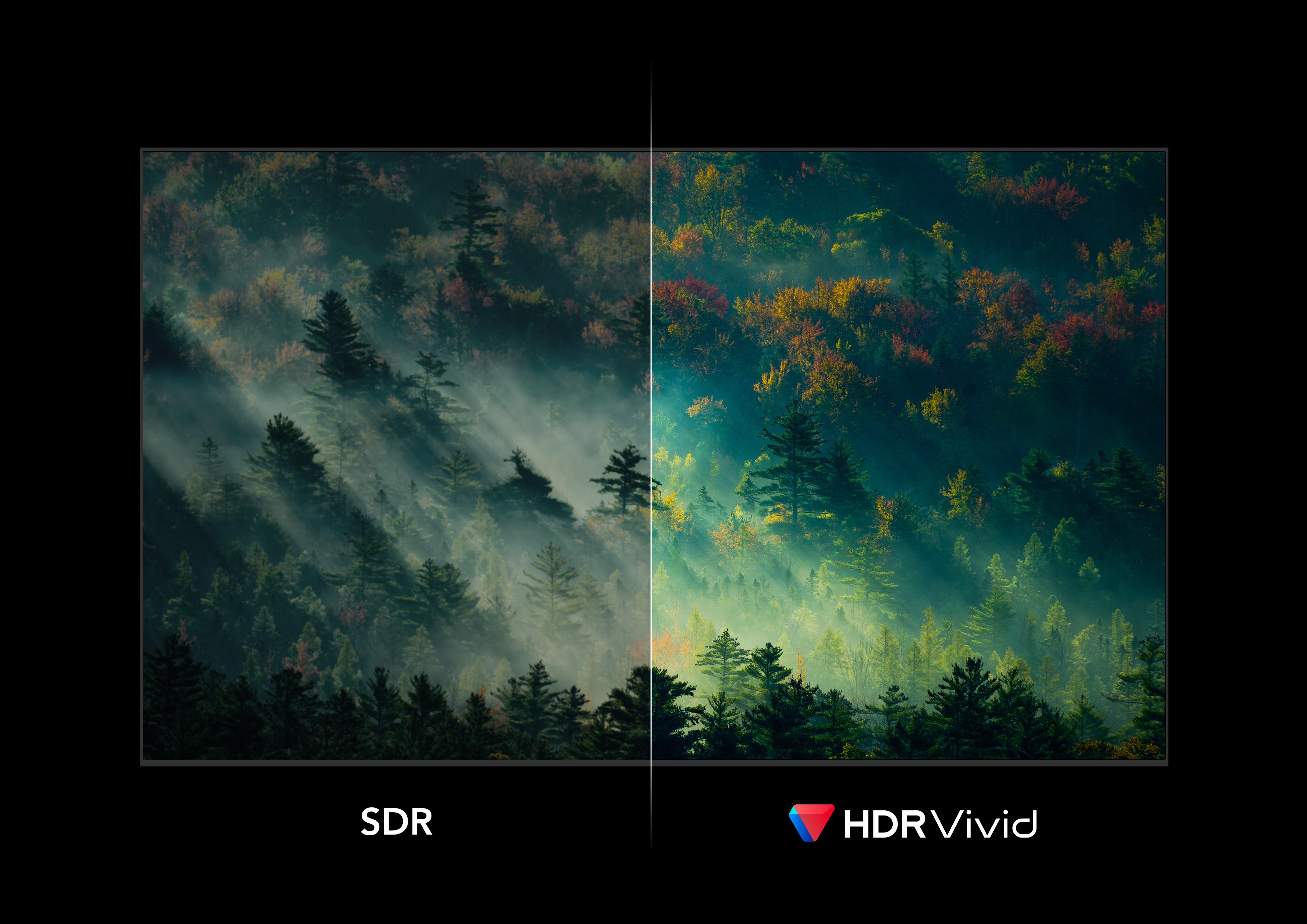 动态HDR视频标准领域的新势力HDR Vivid 到底是什么 知乎