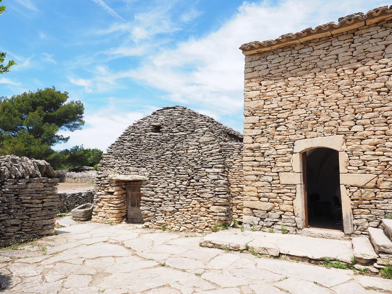 3. 蚂蚁入侵原因