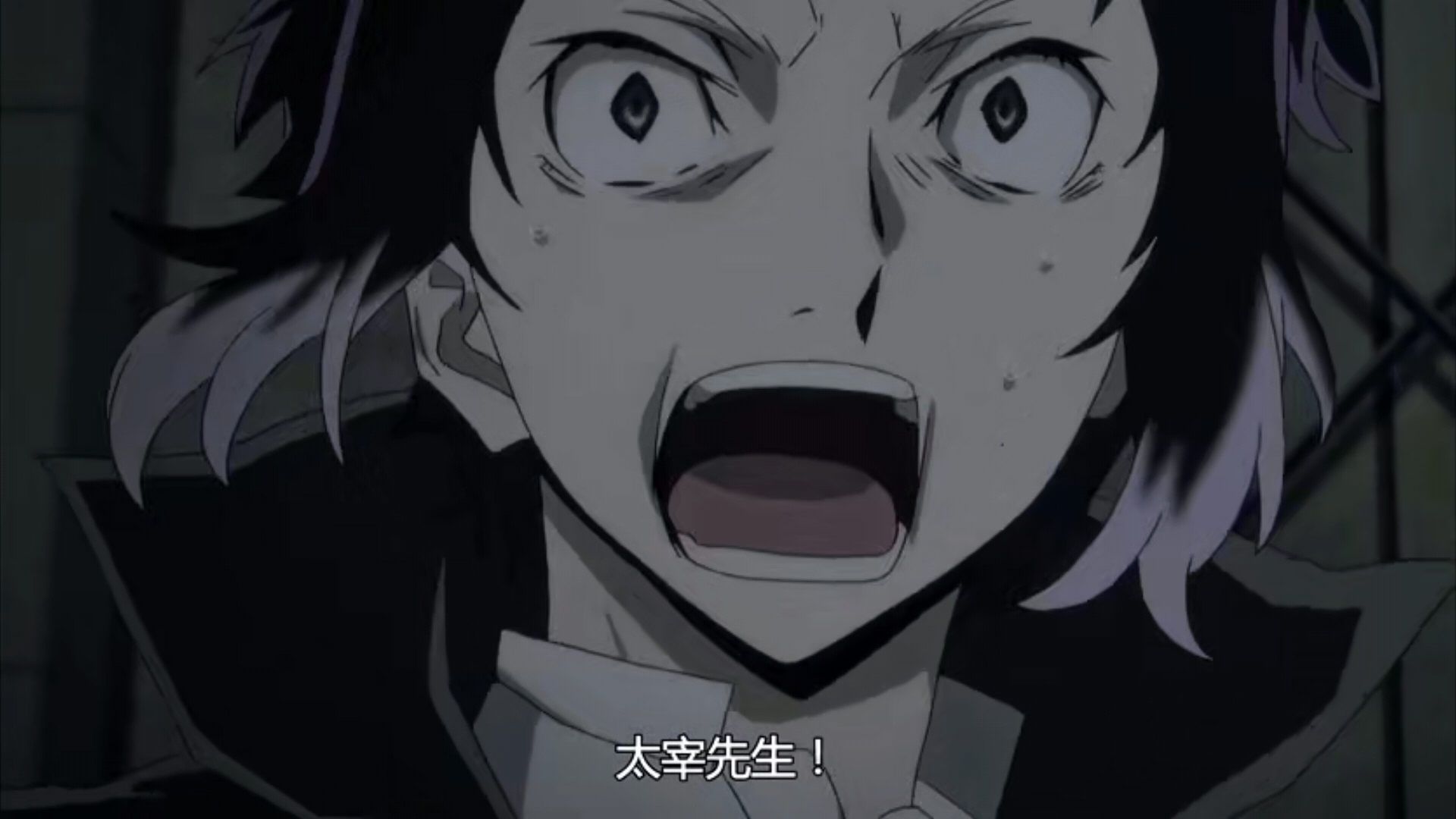 文豪野犬 为什么大家都不磕太芥或芥太? - 知乎