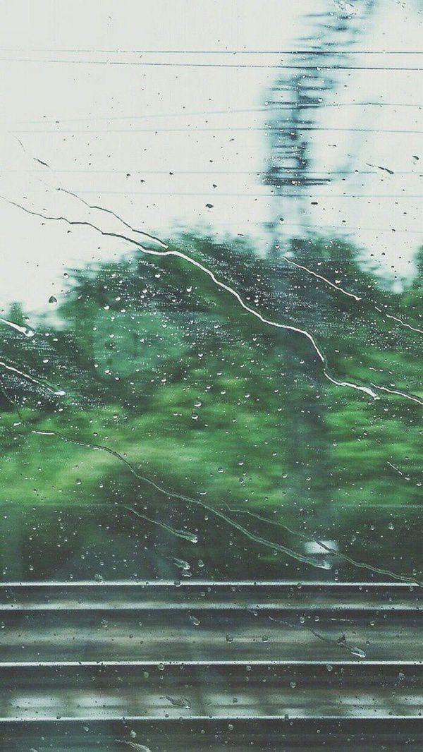 有哪些让你一眼万年的绿色系壁纸?(绿色壁纸大全图片清新自然)