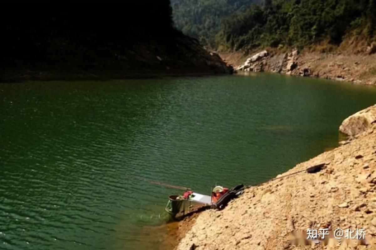 都说春钓要钓滩到底是什么样的滩才能让我们能连杆能爆护呢