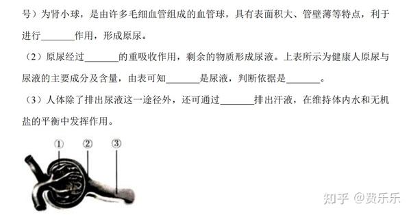 查中考地理生物成绩网站_中考地理查询生物成绩的网站_地理生物中考成绩查询