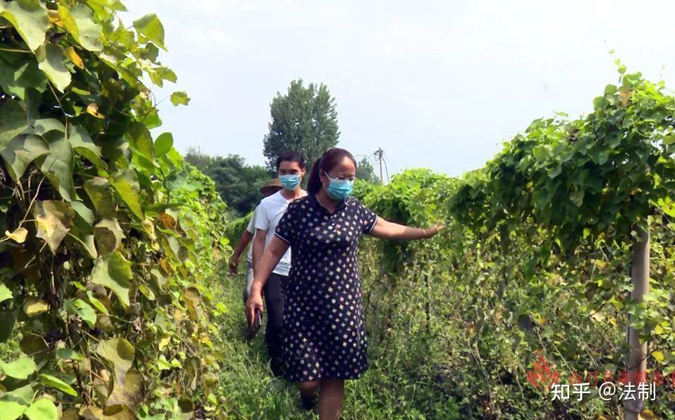 南召县南河店镇:实施"13710"工作制度 提振干群"精气神"