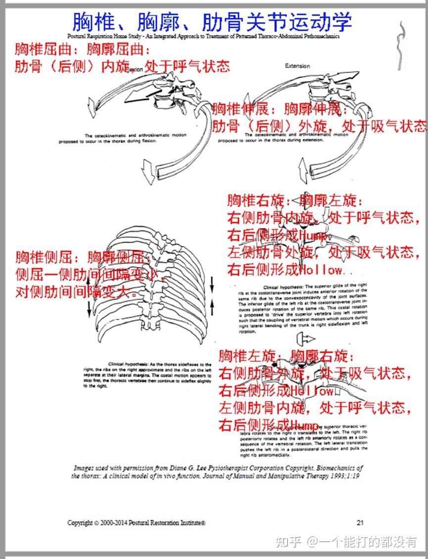 PRI(姿势恢复技术)官方视频及教材学习笔记 - 知乎
