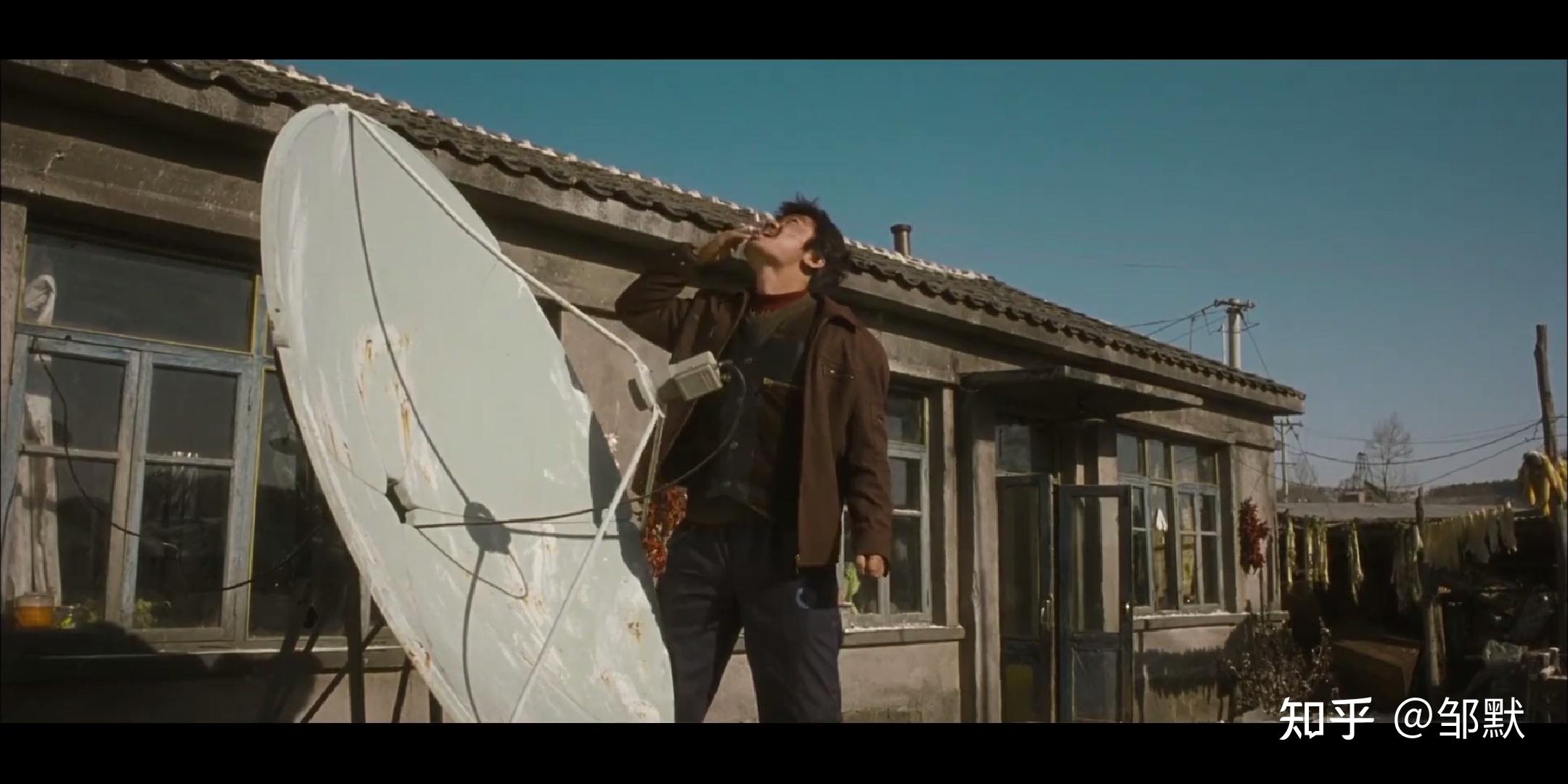 《hello 树先生》影评 - 知乎