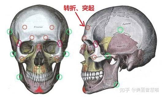 乾貨填充後塑料感陡增竟是因為這個不起眼的部位