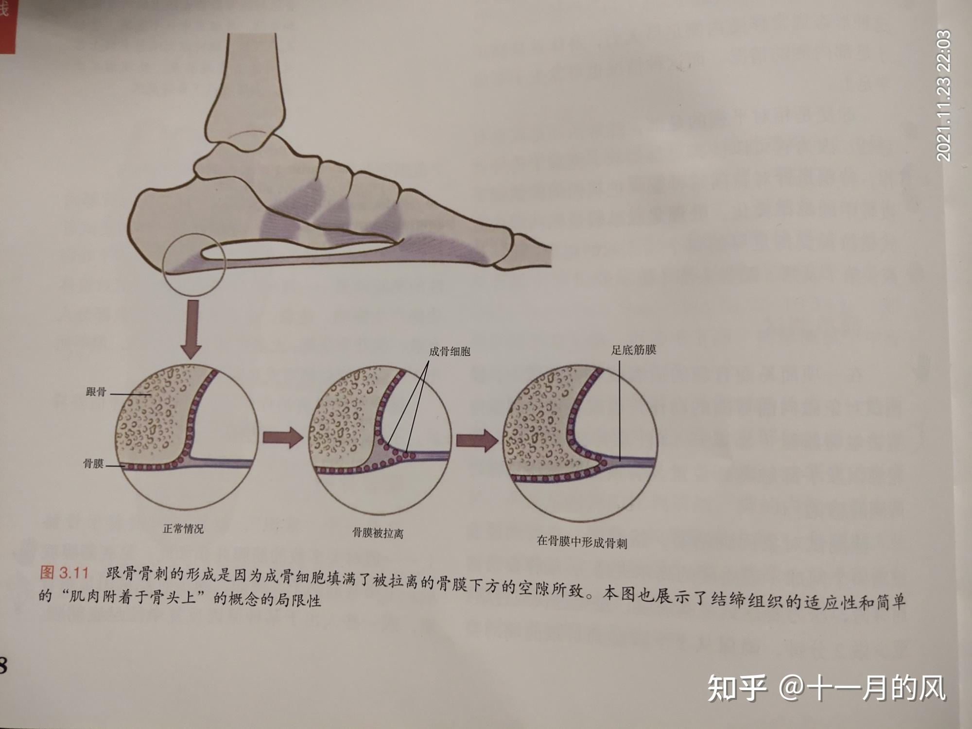 摘自《解剖列車》