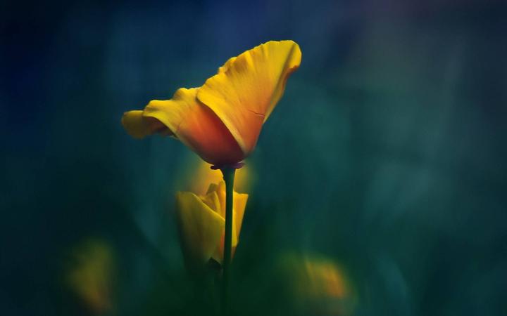 海牙认证“海牙公约”的国家名单大全 知乎