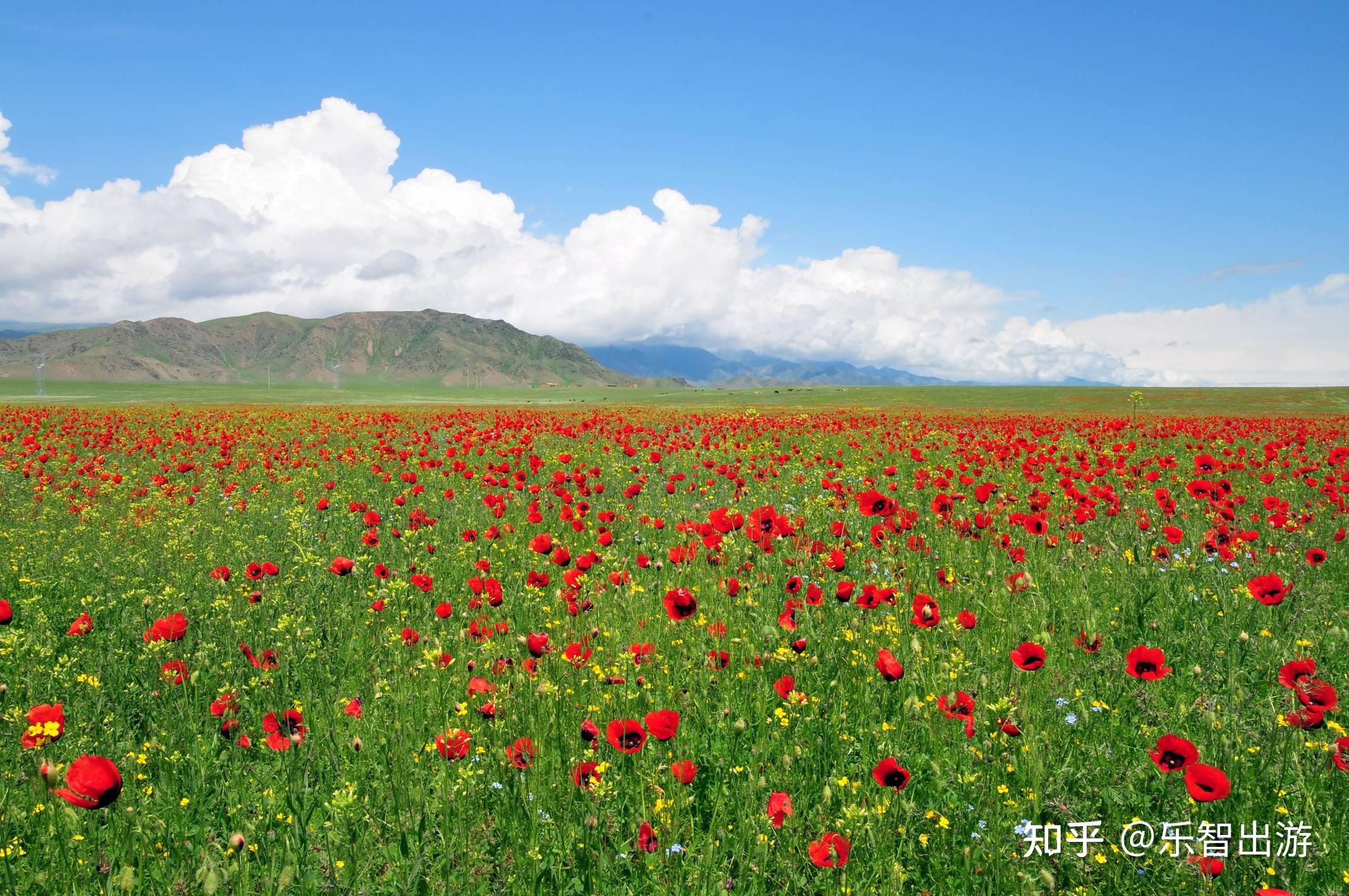 五月特别推荐你不能错过的美景