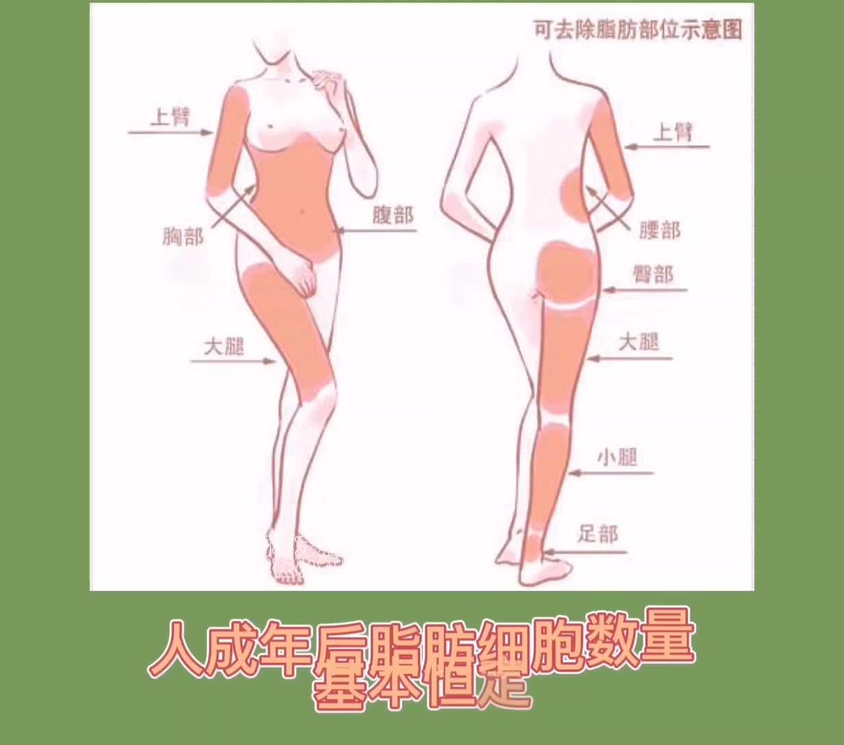 v2-ab08ad9ee7a47bd8ec15c6f956d0b5df.jpg?source=382ee89a