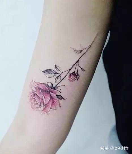 表达自己的意思而选择了其它鲜花但是如果有些小伙伴们不知道送康乃馨