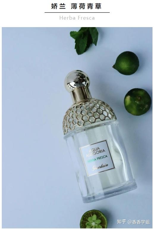 薄荷香水合集喜欢你身上凉爽又干净的味道