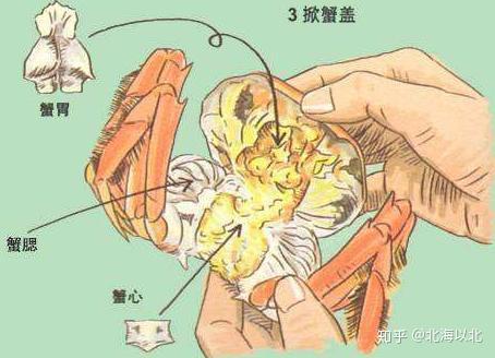 铭万众筹丨从池塘到餐桌的美味你所不知道的大闸蟹这一生艰辛