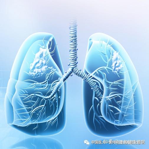 走进肺功能:像量血压一样肺功能