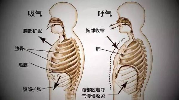 正确的调息方法 知乎