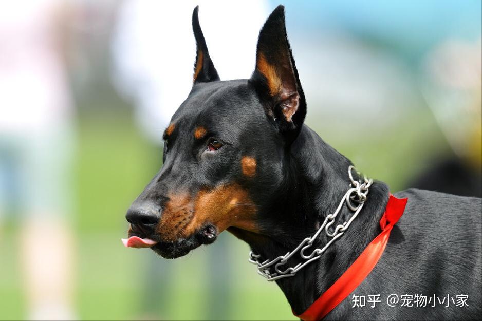 v2-ab322d8f392c5782e2fbdababb51f724_r.jpg