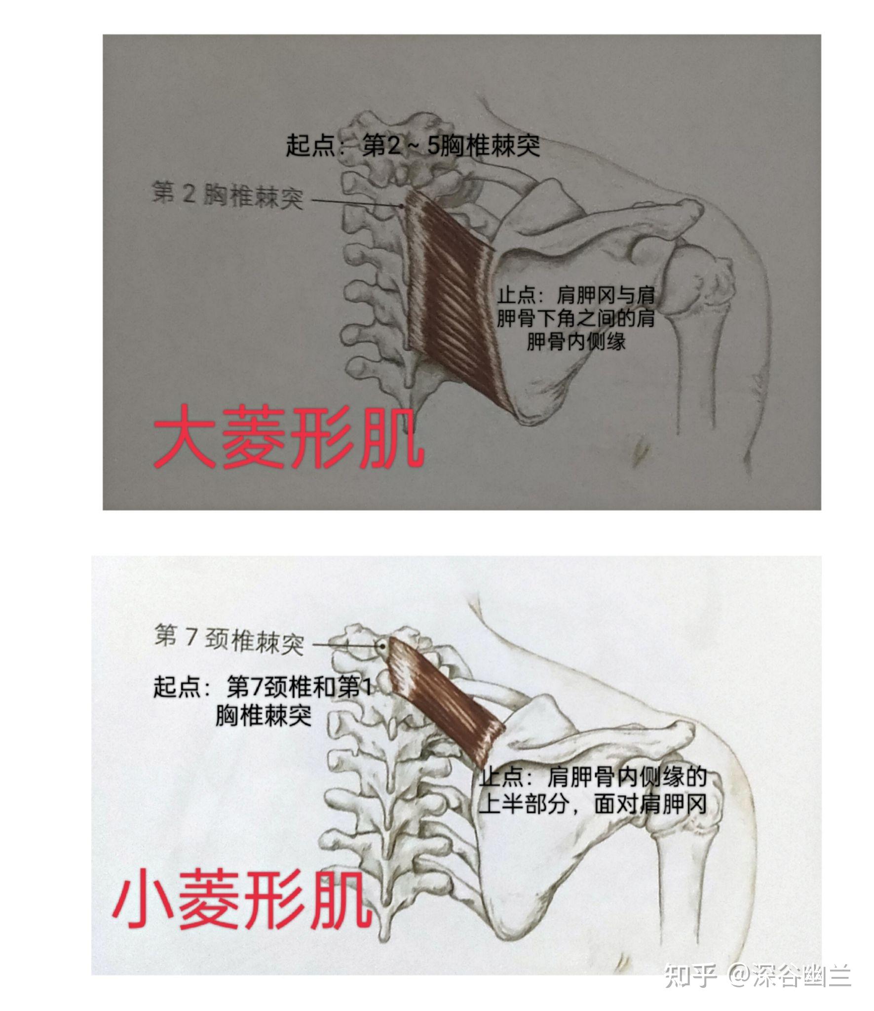 解剖列车螺旋线图片图片