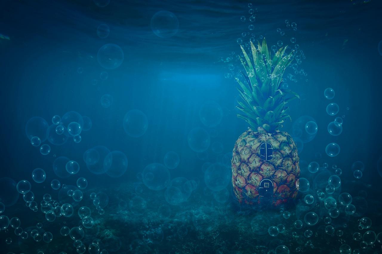 2. 搭架高度技巧