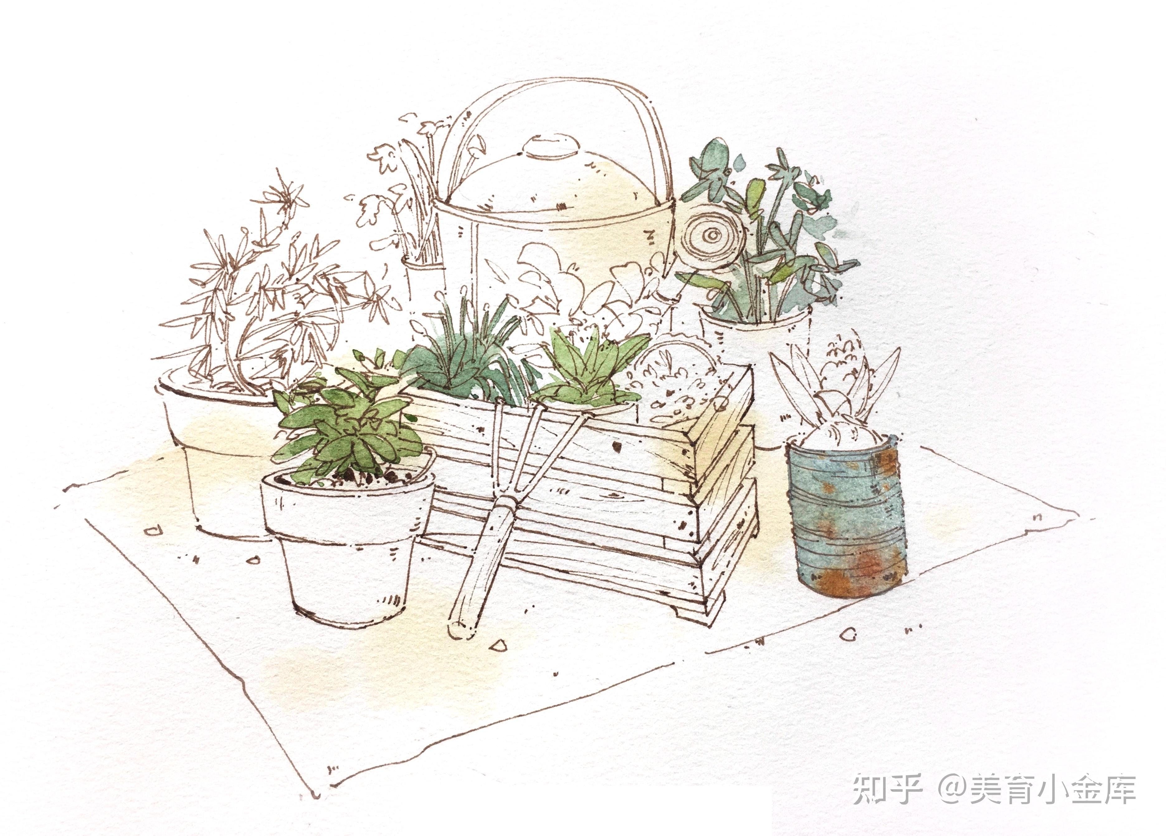 一组水彩钢笔淡彩静物写生手绘步骤图