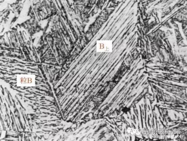 下贝氏体组织示意图图片
