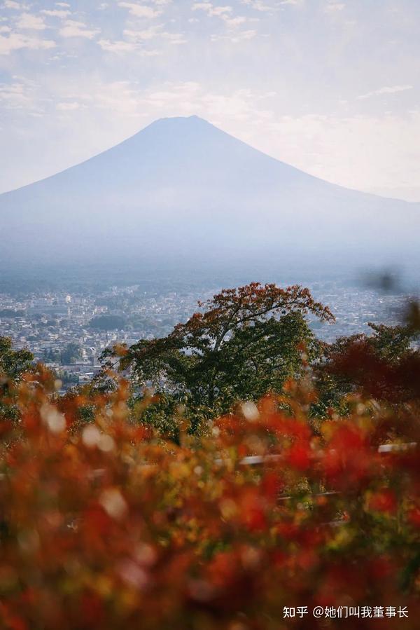 小林モー子 富士山ピンブローチ - asca.edu.do