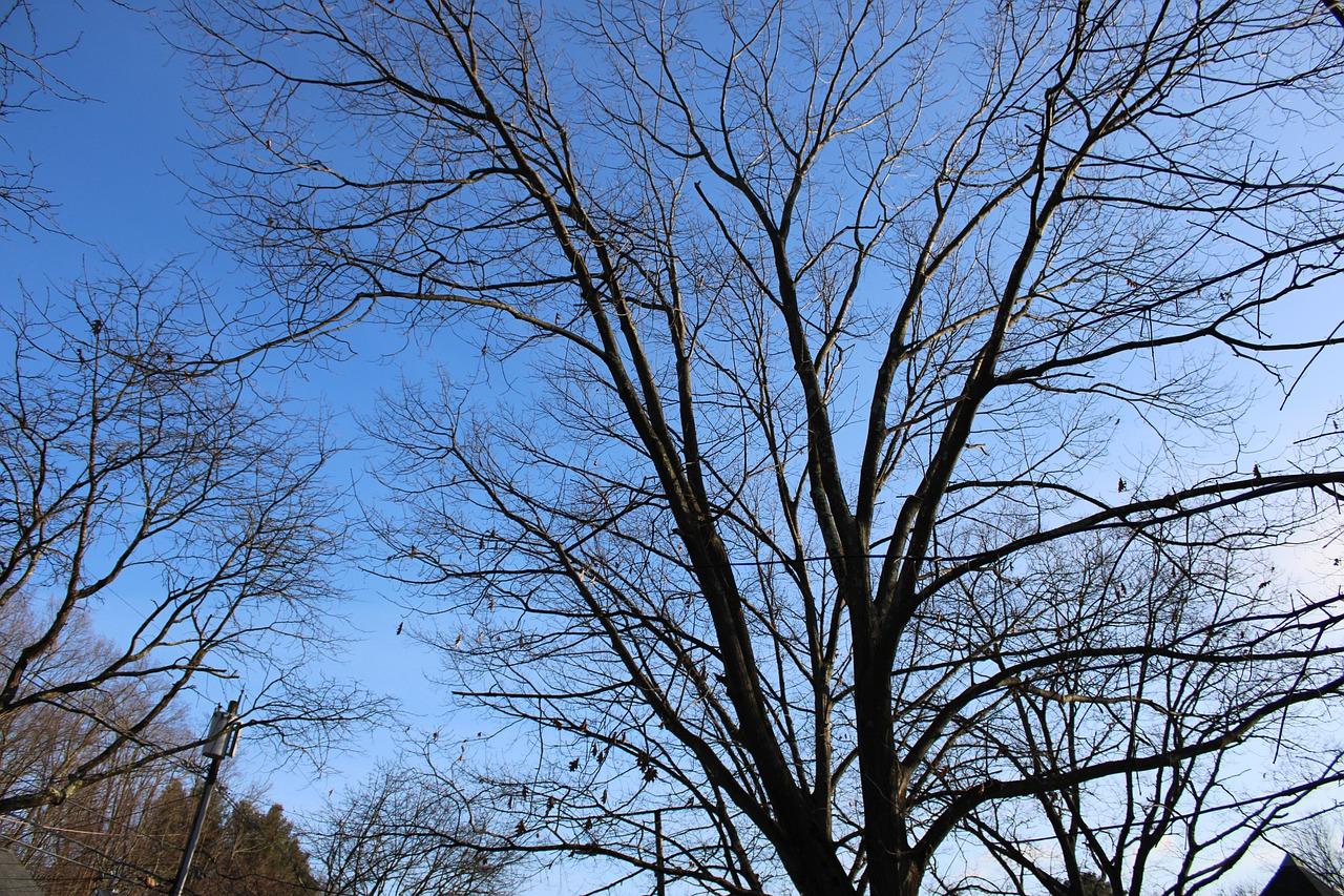 郑州上街哪里的房子好