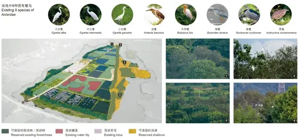AECOM圩田湿地生境修复案例:浙江鉴洋湖湿地公园首启区 - 知乎