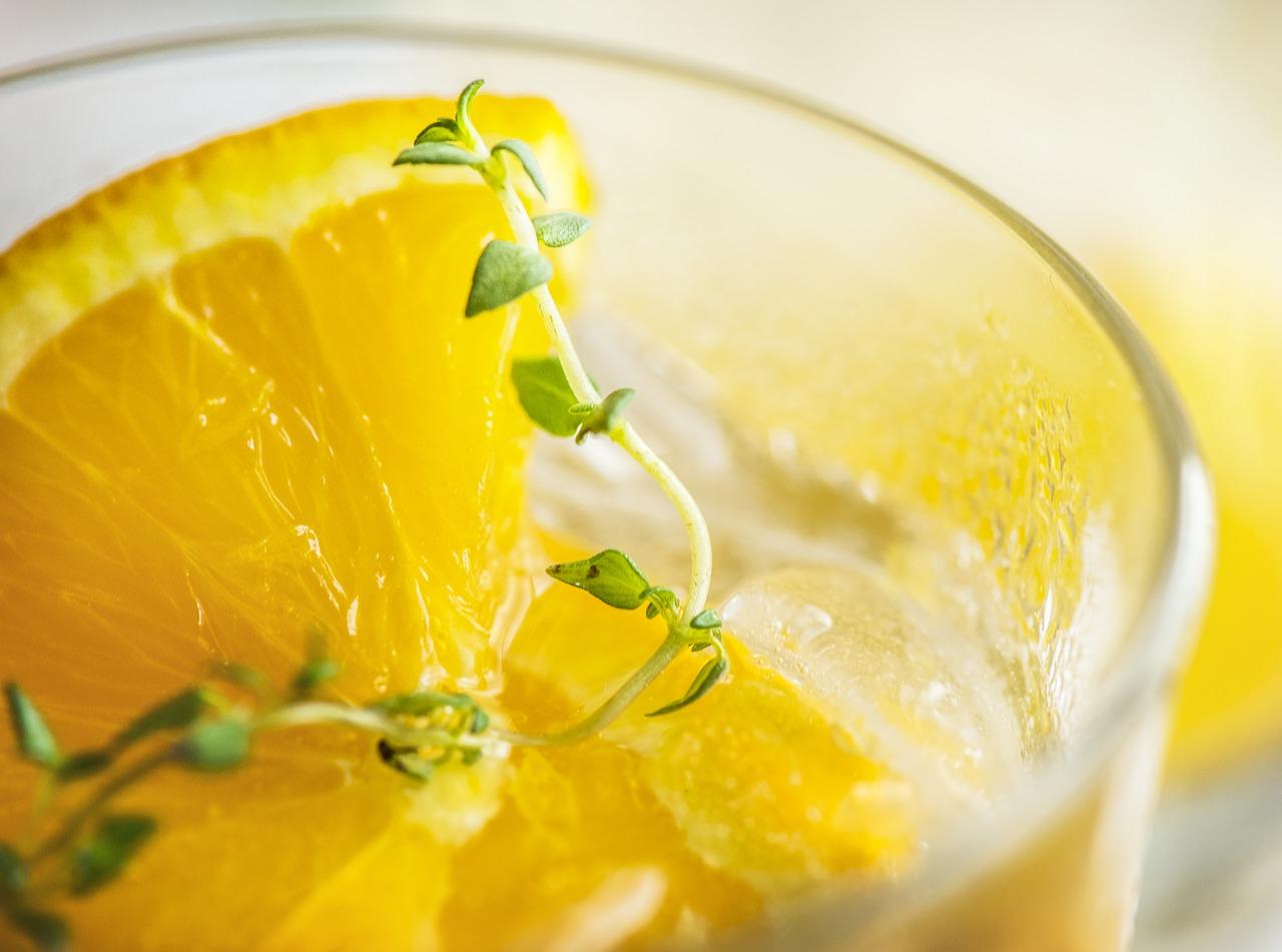 2. 景观园林特色