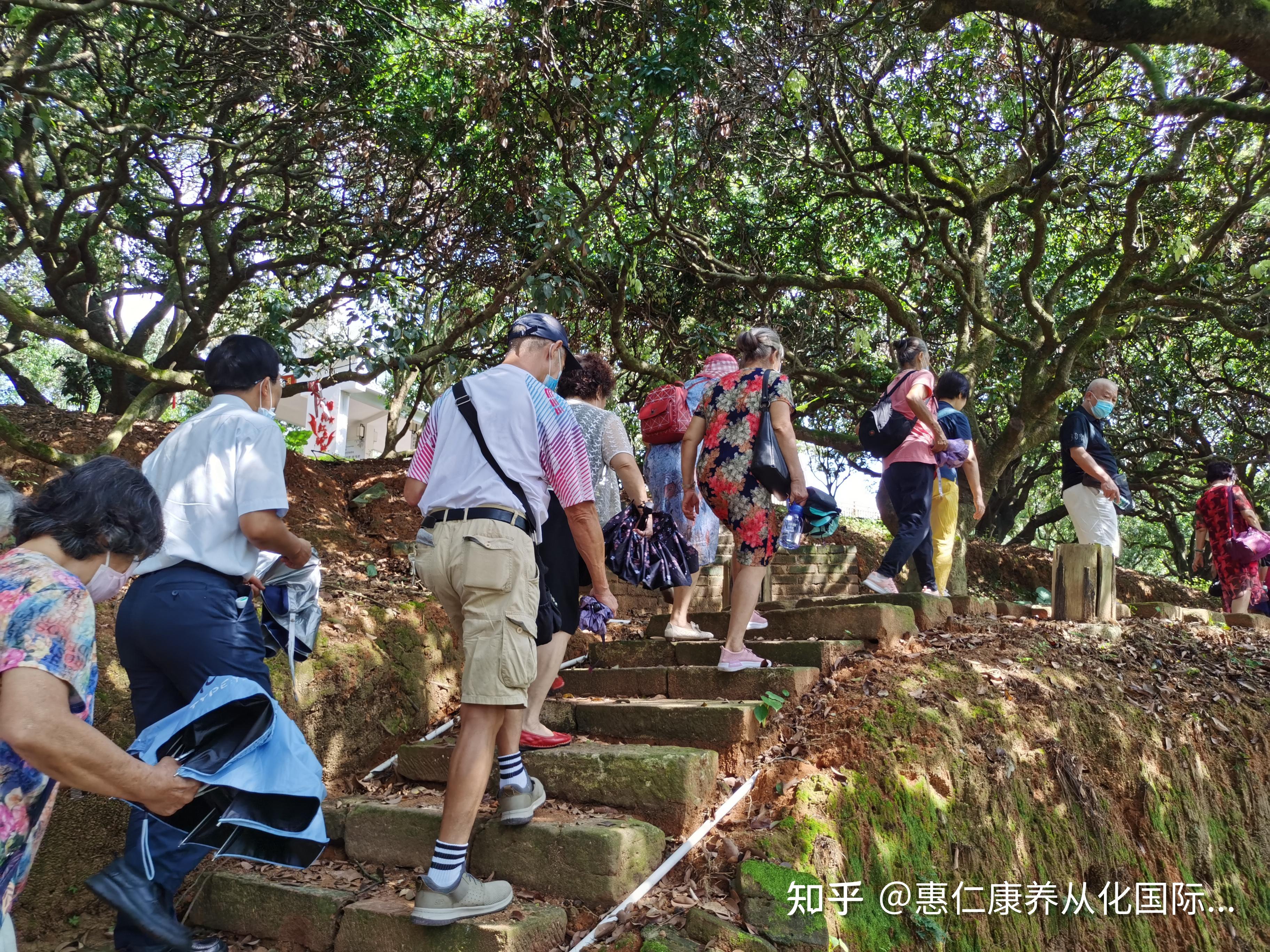 惠仁康養丨總有一束光照亮您的春夏秋冬