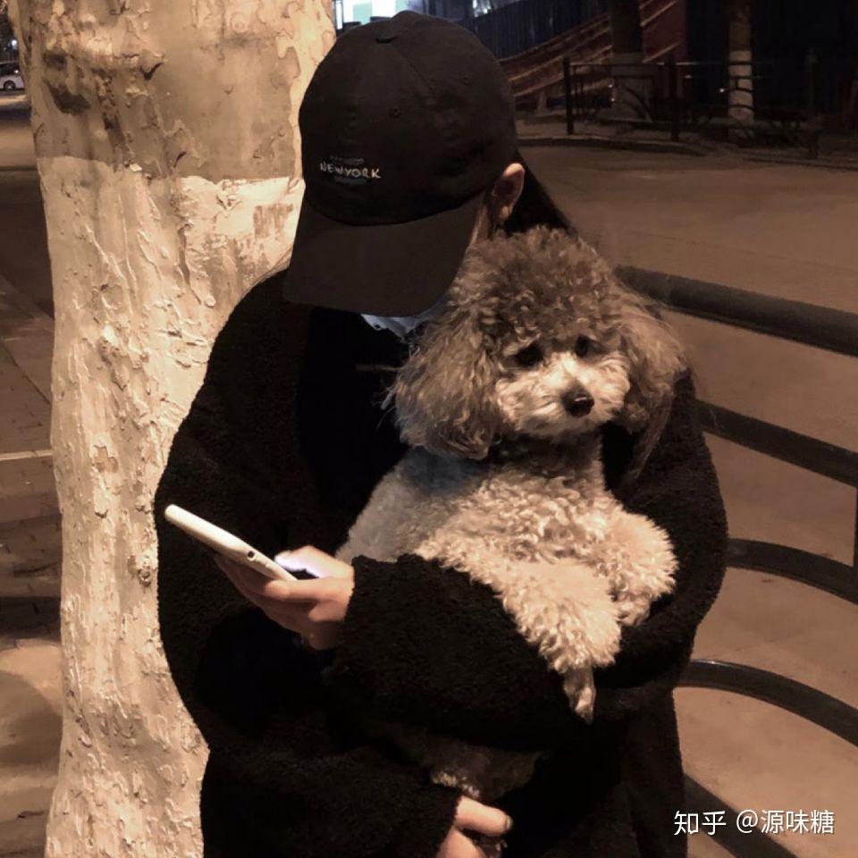 有没有女孩子抱着狗狗的头像,越多越好? - 知乎