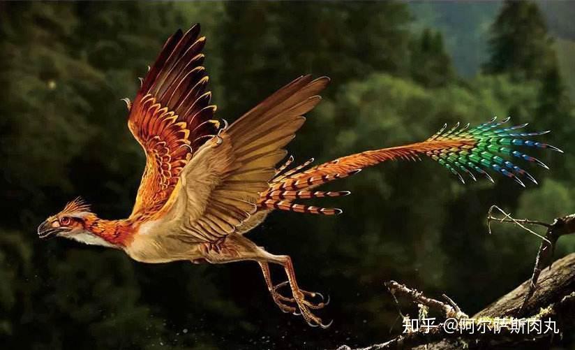 「Prehistoric Park丨史前公园 2」似鸟非鸟——偷蛋龙科浅谈 - 知乎