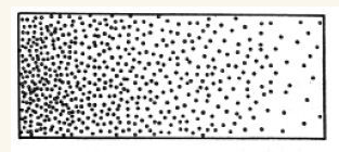 v2-ab9980cea7368e8179a083193bf826d0_b.jpg