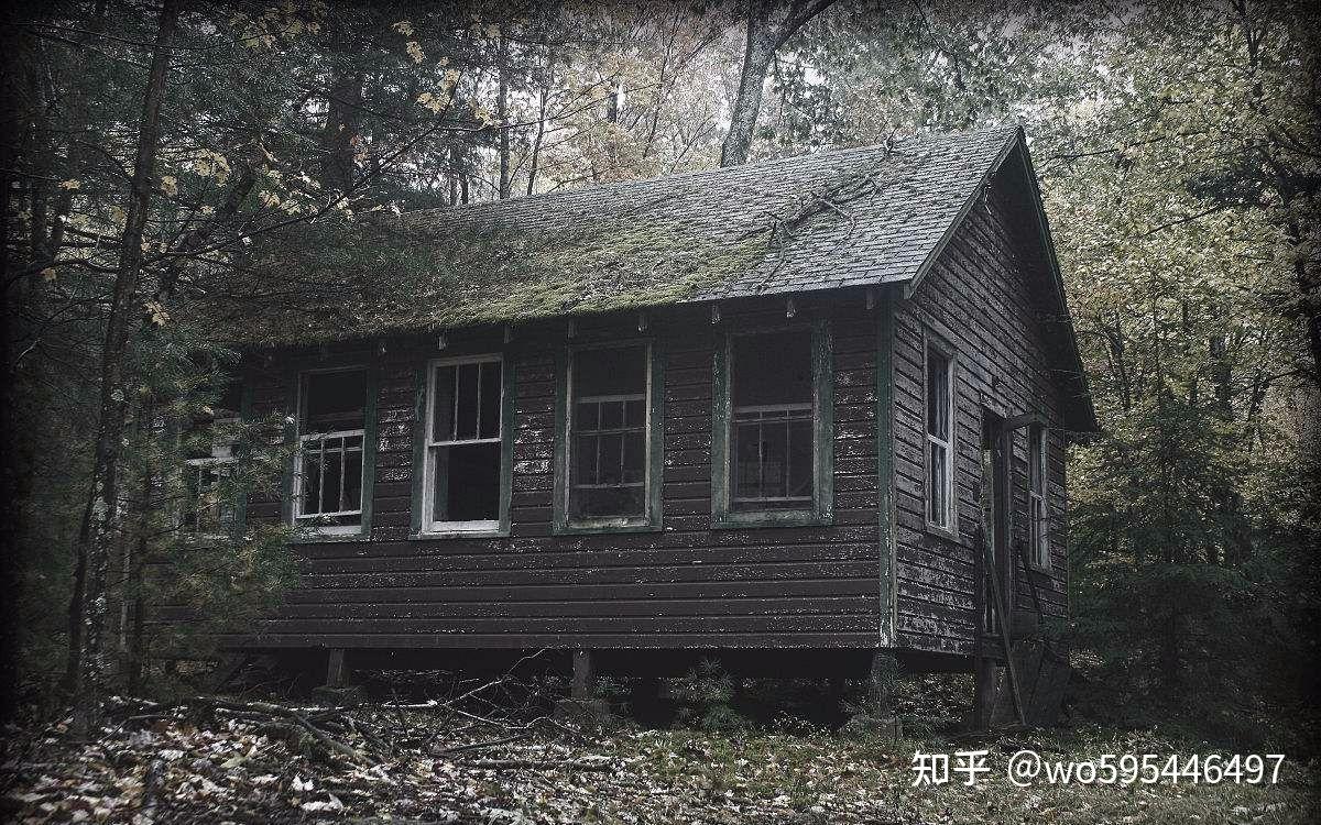 林中小屋电影后续怎么发展