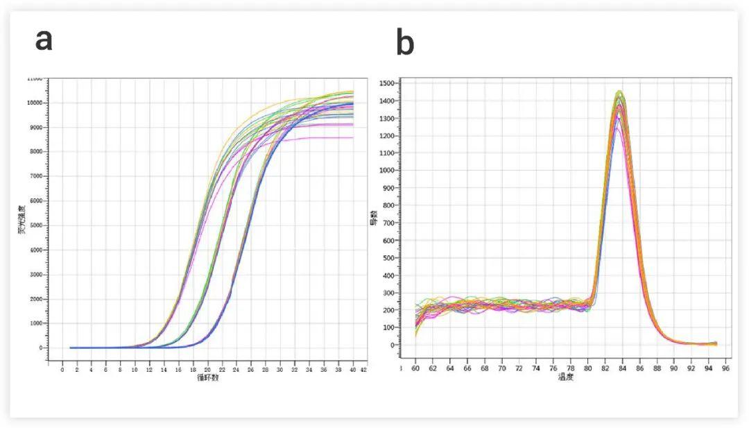 萌新求问,rt-pcr,qpcr,pcr的区别与不同是什么?