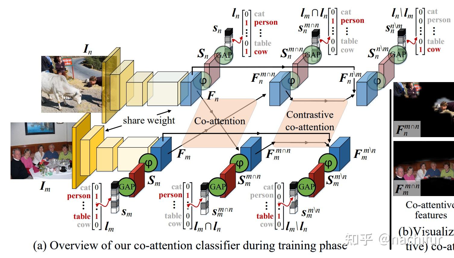 semantics for weakly supervised semantic segmentation - 知乎