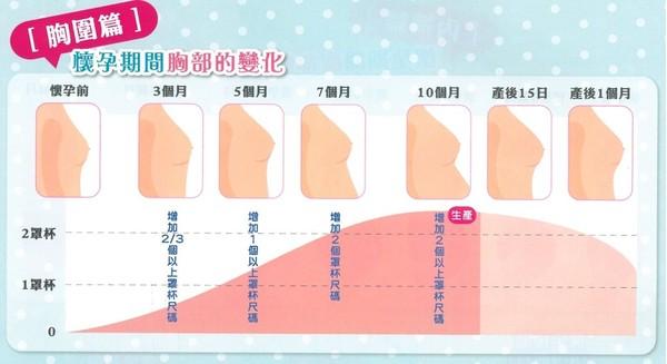 99 的新妈妈都没有意识到的乳房秘密 知乎