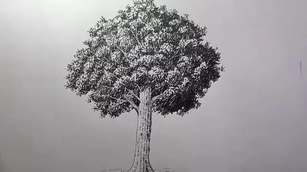 你离出道成为漫画家还差什么 知乎