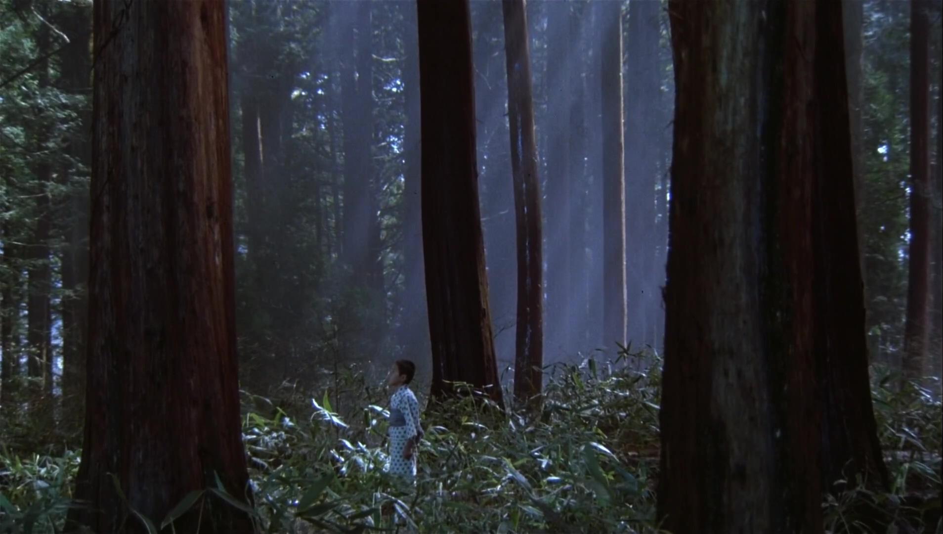 如何评价黑泽明的电影《梦》? - 知乎