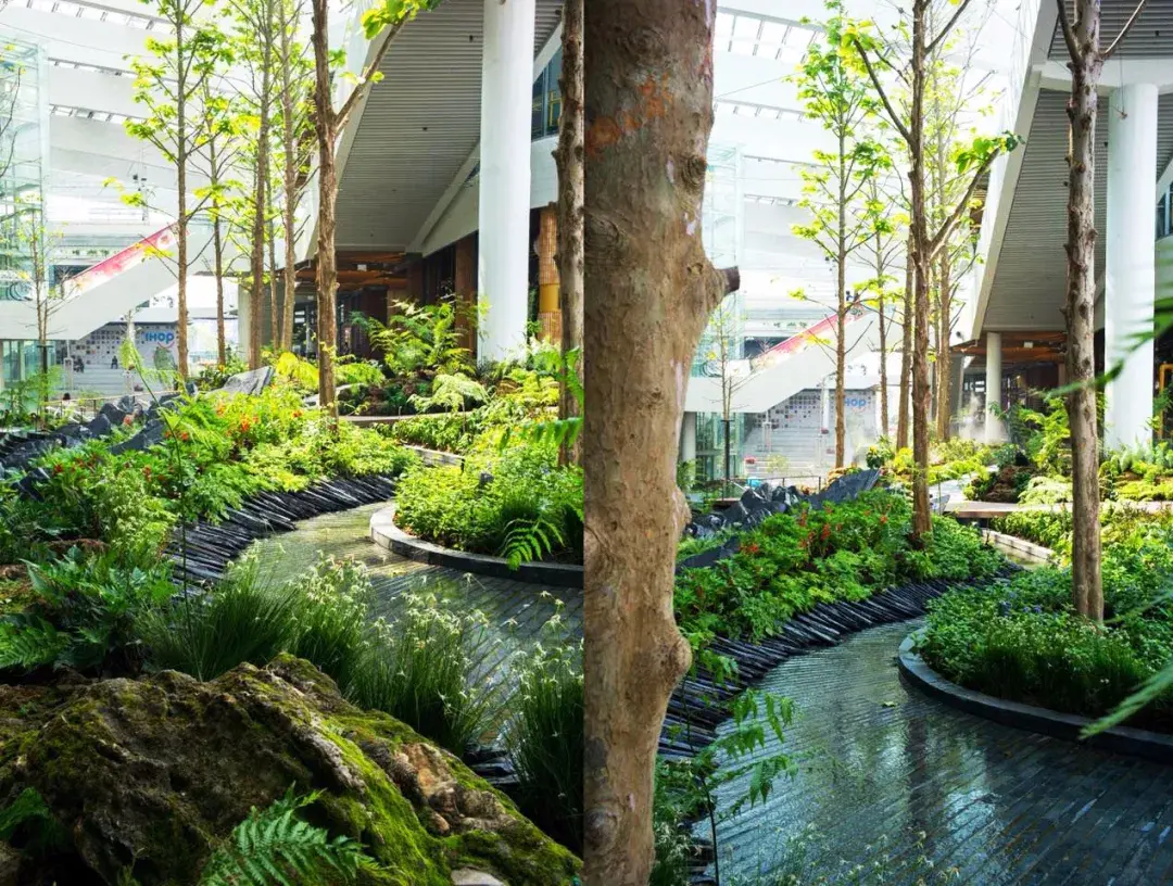 来看看中庭设计的漂亮的打开方式看完开眼了