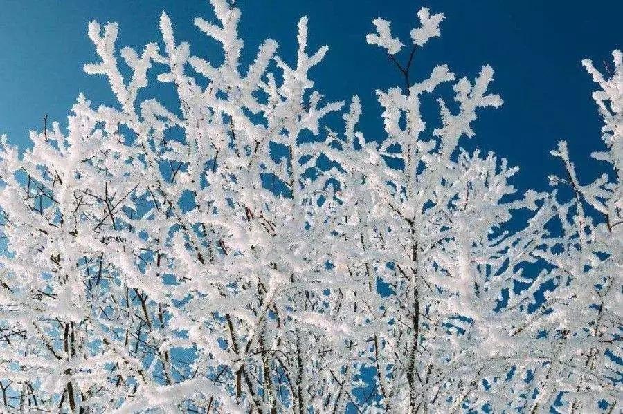 古诗词鉴赏| 别诗二首·其一