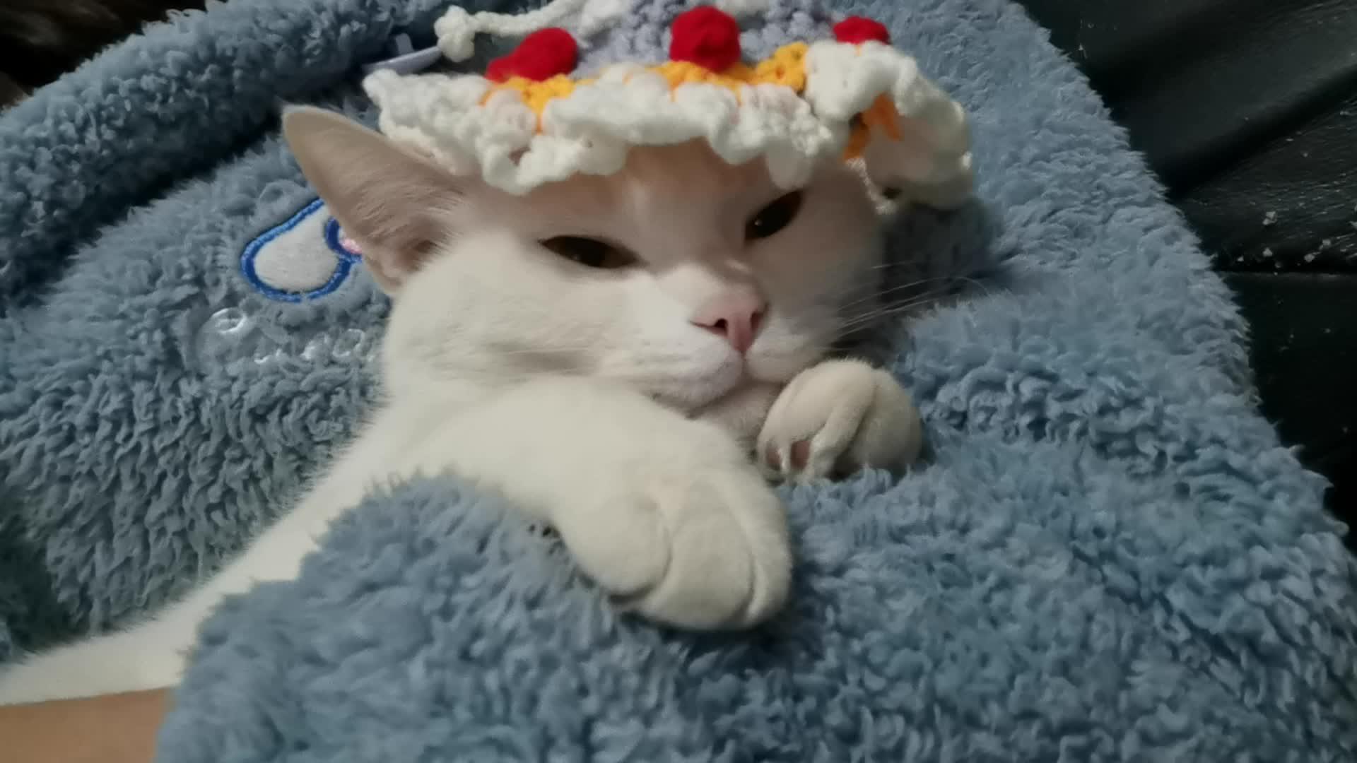 芋泥波波冰 - 知乎