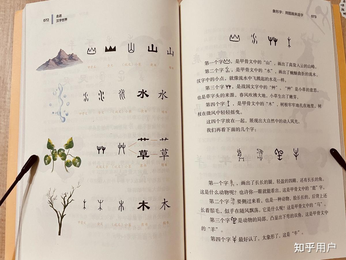 请大家推荐几本图解汉字演变的比较好的书籍,最好是彩图版的,看着更生