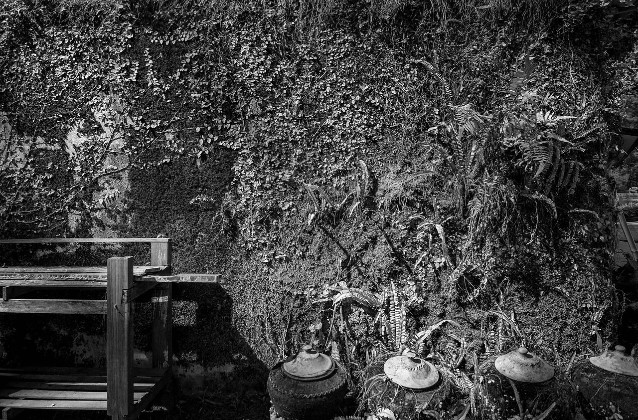 米色外墙配什么颜色窗