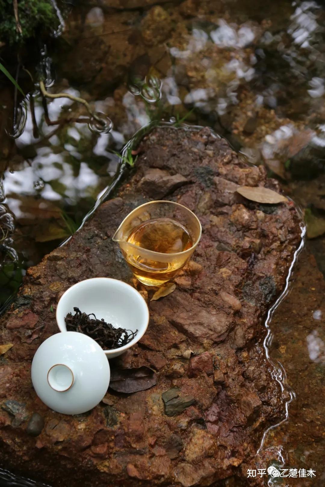 秋分,秋水,秋天的茶 - 知乎